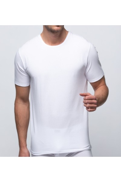 577 ABANDERADO CAMISETA HOMBRE ALGODON M C REAL COTTON