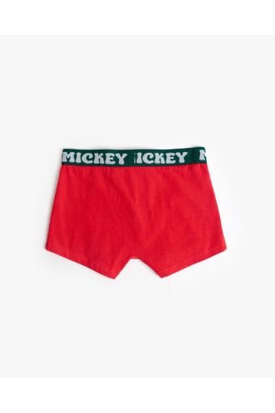 48610 MICKEY BOXER HOMBRE XMAS