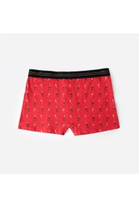 48684 ADMAS BOXER HOMBRE BOTELLA