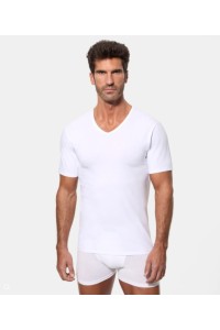A0DGO ABANDERADO CAMISETA HOMBRE ALGODON "REGUL ACTIVE"