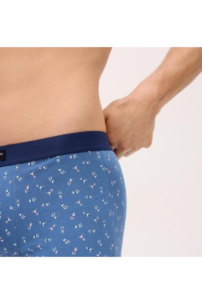 20444 YSABEL MORA PACK-2 BOXER ALGODON FANTASIA