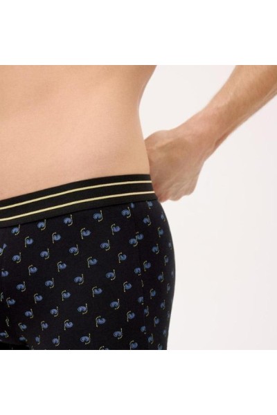 20445 YSABEL MORA PACK-2 BOXER ALGODON FANTASIA