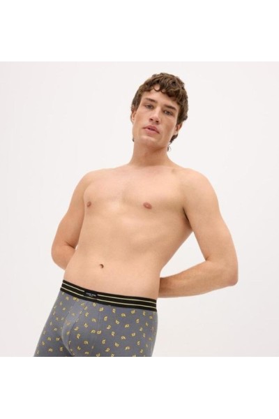 20445 YSABEL MORA PACK-2 BOXER ALGODON FANTASIA