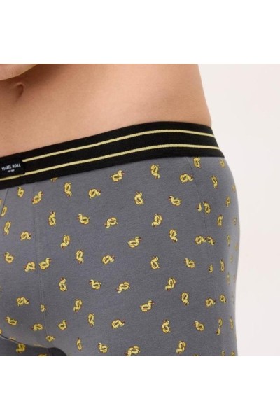 20445 YSABEL MORA PACK-2 BOXER ALGODON FANTASIA