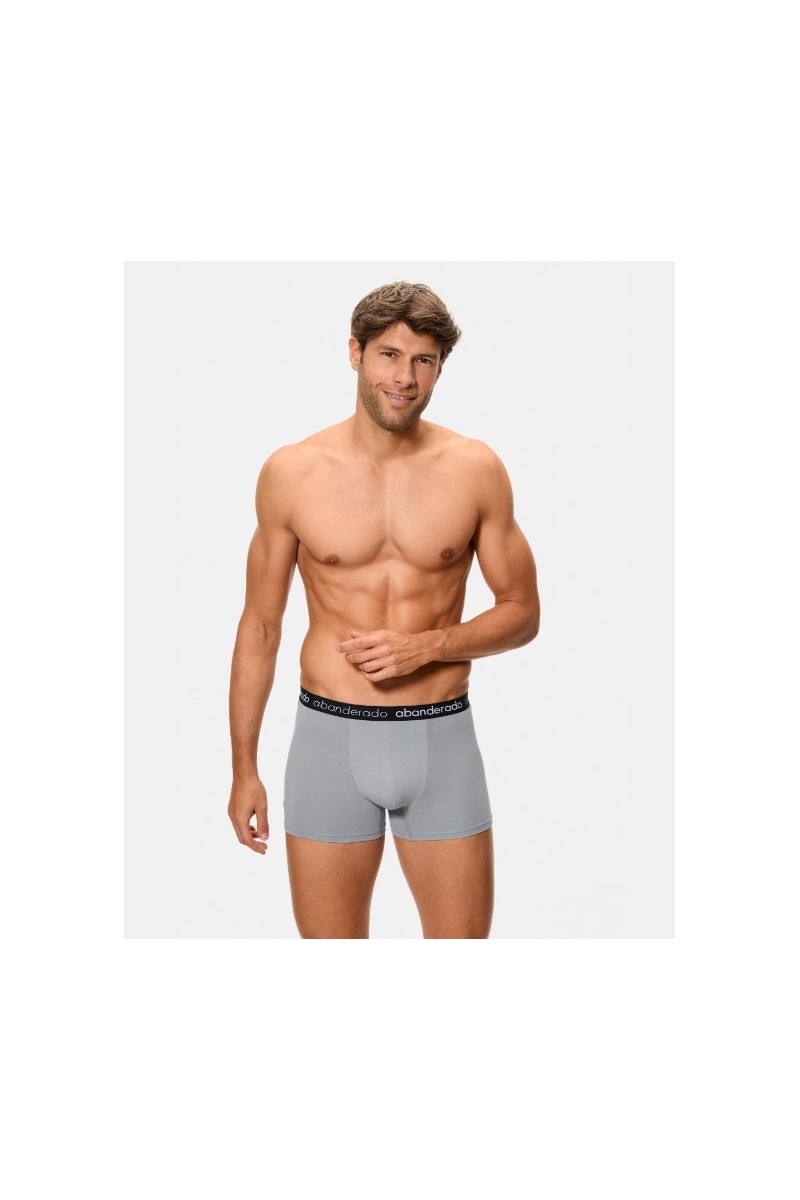 AA596 ABANDERADO PACK-2 BOXER HOMBRE ALGODON ELASTICO