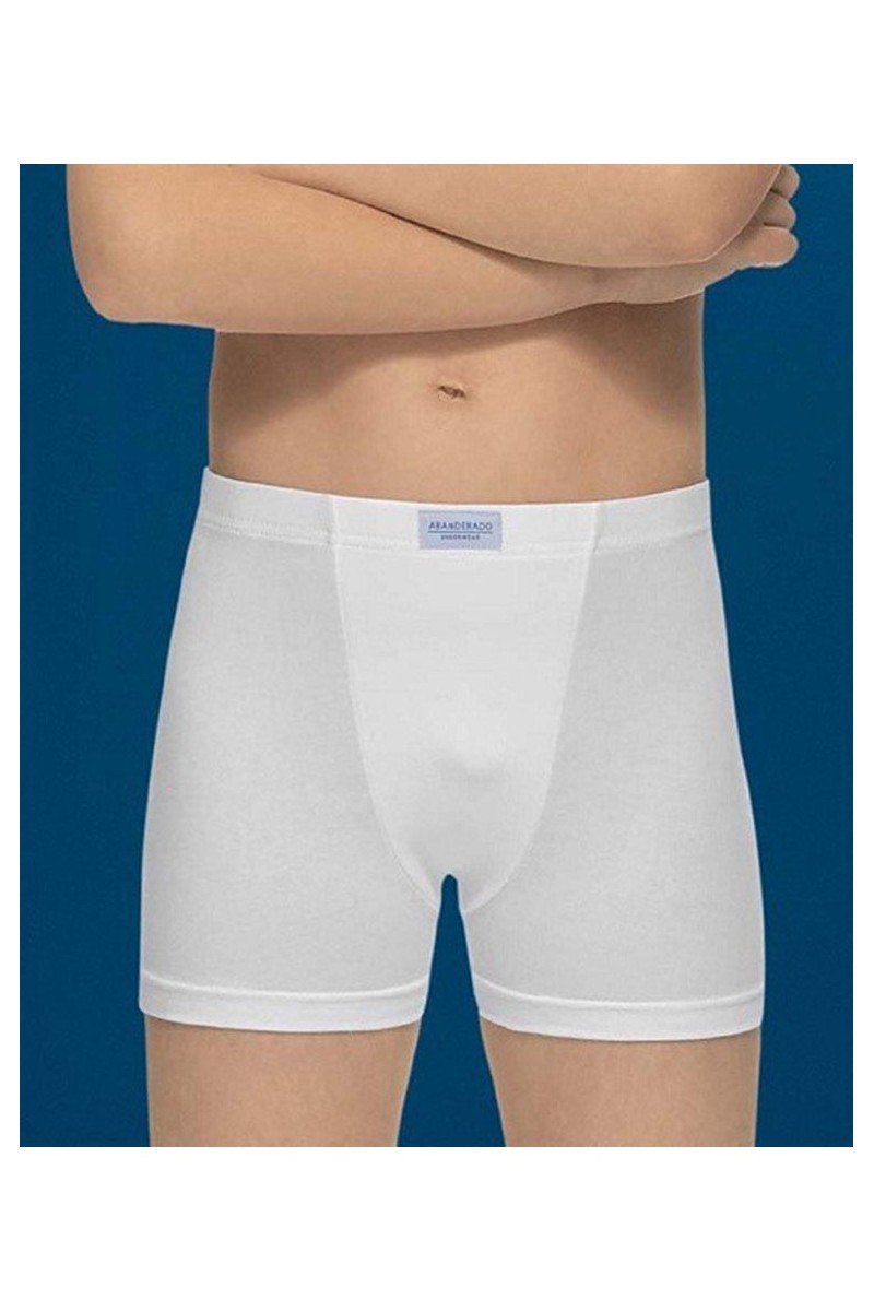 8963 ABANDERADO BOXER NIÑO BASIC ALGODON