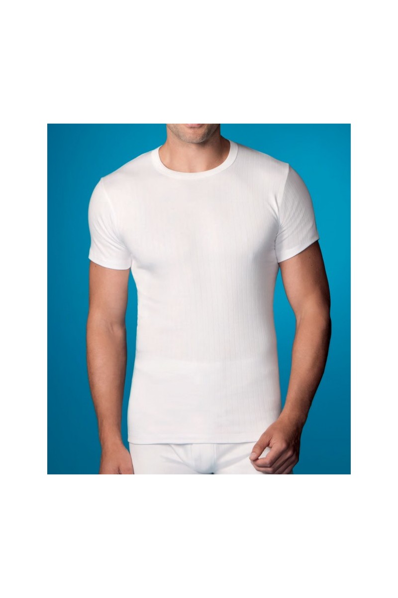 206 ABANDERADO CAMISETA HOMBRE ALGODON THERMAL MANGA CORTA CUELLO REDONDO