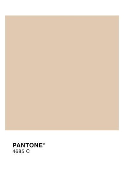 CULOTTE FORM SILUETA BRIDGET P-XL JANIRA