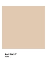 CULOTTE FORM SILUETA BRIDGET P-XL JANIRA