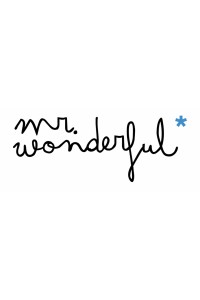 MR.WONDERFUL